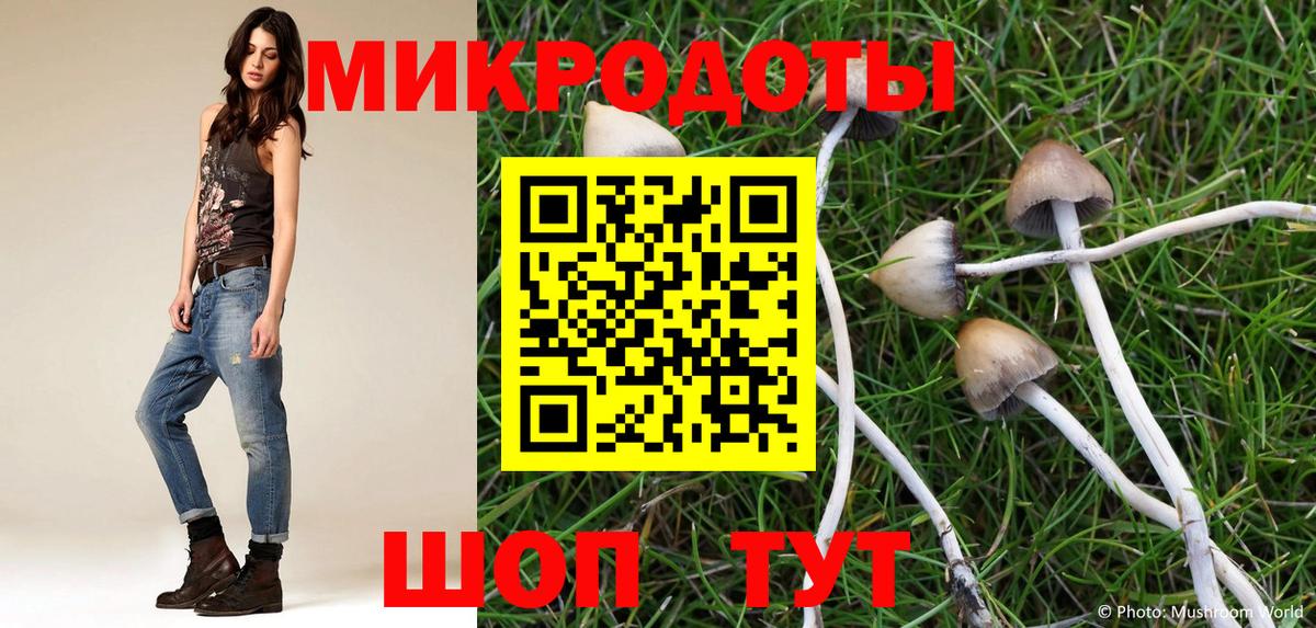 Галлюциногенные грибы MAGIC MUSHROOMS  Галлюциногенные грибы Cubensis  Братск  Вход с VPN 