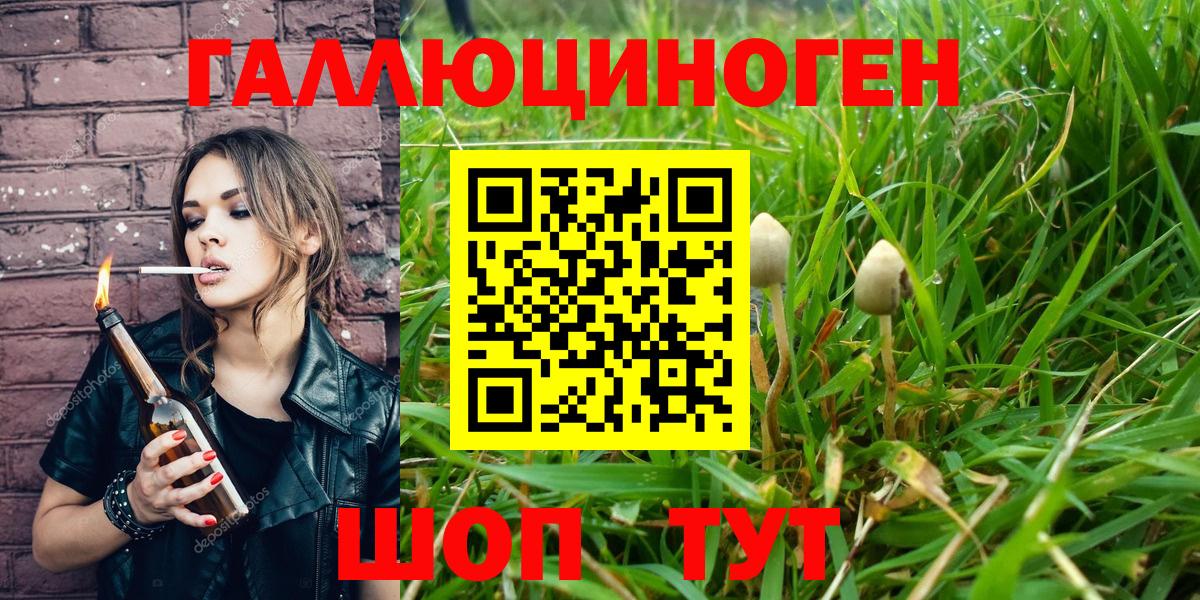 Псилоцибиновые грибы прущие грибы Братск